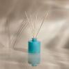 imageThymes Petite Reed Diffuser Set  Includes Rattan Wood Sticks Fragrance Oil ampamp Glass Bottle  Home Fragrance Oil Diffuser  Luxury Home Decor  Guest Bathroom Essentials Washed Linen 4 fl ozAqua Coralline