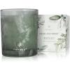 imageThymes Scented Candles for Home Decor  Luxury Home Fragrance Gifts for Women ampamp Men  Fall Candles with Warm Notes of Apple Clove ampamp Cardamom  Rose Gold Votive Simmered Cider 2 ozHighland Frost