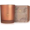 imageThymes Scented Candles for Home Decor  Luxury Home Fragrance Gifts for Women ampamp Men  Fall Candles with Warm Notes of Apple Clove ampamp Cardamom  Rose Gold Votive Simmered Cider 2 ozPumpkin Laurel
