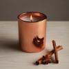 imageThymes Scented Candles for Home Decor  Luxury Home Fragrance Gifts for Women ampamp Men  Fall Candles with Warm Notes of Apple Clove ampamp Cardamom  Rose Gold Votive Simmered Cider 2 ozSimmered Cider