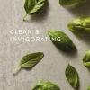 imageThymes Soft Surface Scrub  Frasier Fir  Multipurpose Surface Cleaner   Pine Scented Stain Remover with Baking Soda Fennel ampamp Parsley Extracts  Gentle Yet Effective Household Cleaner  115 Fl OzFreshCut Basil