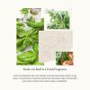 imageThymes Soft Surface Scrub  Frasier Fir  Multipurpose Surface Cleaner   Pine Scented Stain Remover with Baking Soda Fennel ampamp Parsley Extracts  Gentle Yet Effective Household Cleaner  115 Fl OzFreshCut Basil