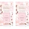 Goldleaf Gardenia