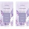 imageThymes Aqua Coralline Pura Smart Home Plugin Diffuser Refills  Pack of 2Lavender