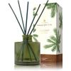 imageThymes Frasier Fir Reed Diffuser Set  Includes Reeds Fragrance Oil and Frosted Glass Bottle  Fragrance Oil Diffuser  Room Fresheners  Luxury Home Decor  Green ampamp Clear Pine Needle 4 fl ozDeep Green