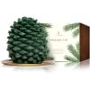 imageThymes Frasier Fir Scented Candles for Home Decor  Green Pillar Candles for Women ampamp Men  Place on Candle Holder  Luxury Home Fragrance Gifts  Large 3quot x 6quot Pillar45 in x 35 in