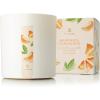 imageThymes Lemon Leaf Candle  8 Oz  Scented Candle for a Fresh Home Fragrance  Aromatherapy Candle in Glass Jar  Matte White JarMandarin Coriander