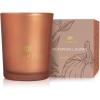 imageThymes Scented Candles for Home Decor  Luxury Home Fragrance Gifts for Women ampamp Men  Fall Candles with Warm Notes of Apple Clove ampamp Cardamom  Rose Gold Votive Simmered Cider 2 ozPumpkin Laurel