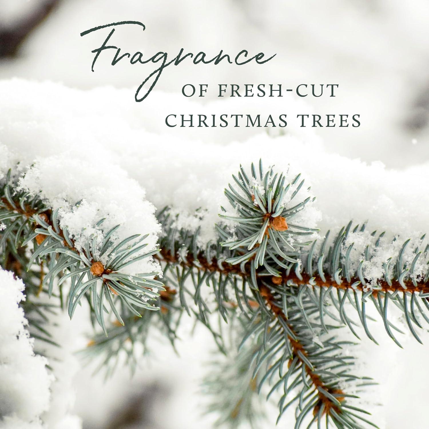 imageThymes Frasier Fir Scented Candles for Home Decor  Green Heritage Holiday Candle  Notes of Siberian Fir Needles Cedarwood ampamp Sandalwood  Luxury Home Fragrance Gifts for Women ampamp Men 3Wick 17 oz17 oz