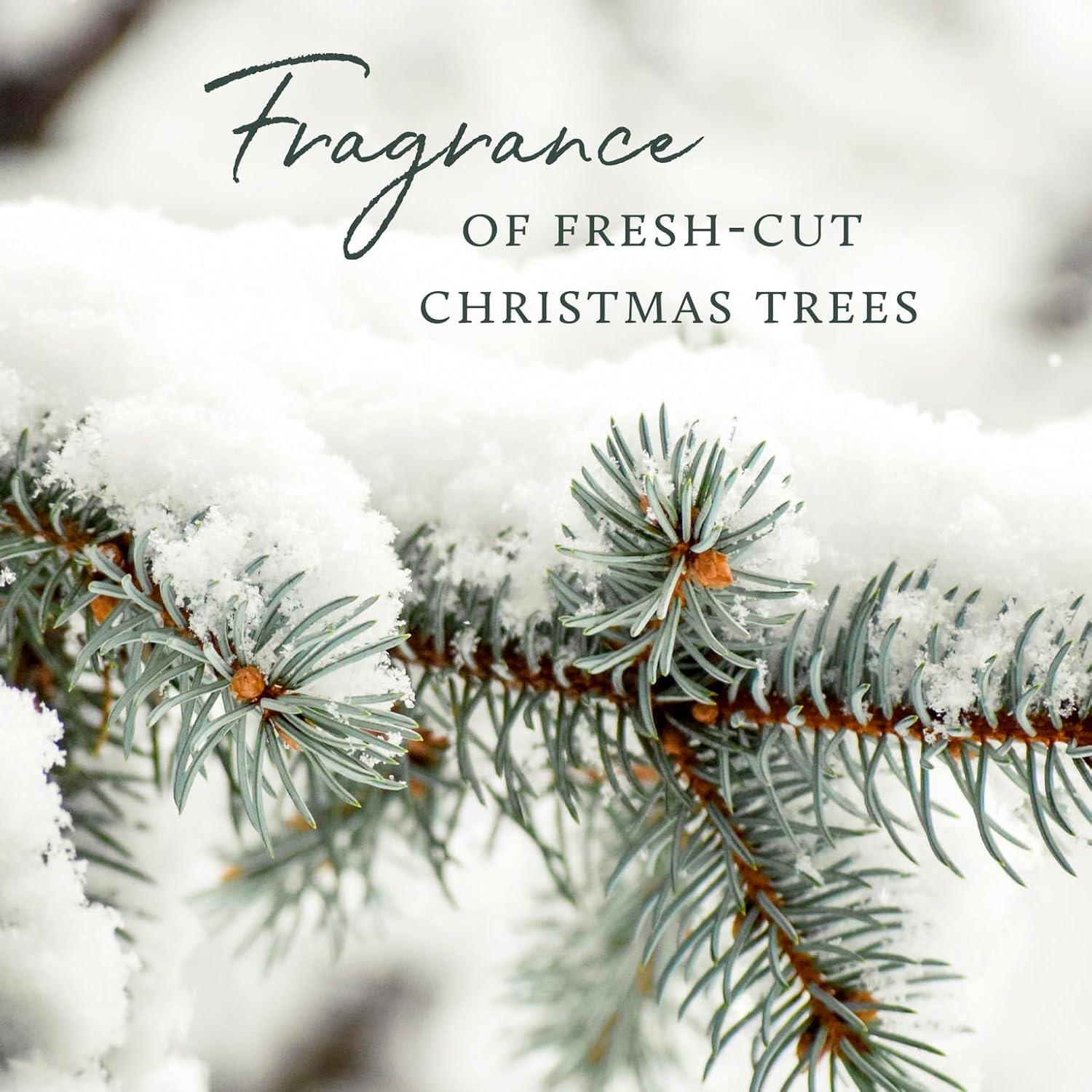 imageThymes Heritage Pine Needle Candle  Scented Candle  Luxury Home Fragrance  Home Decor ampamp Bathroom Accessories  Frasier Fir Pine Scent  115 Oz  Frasier Fir