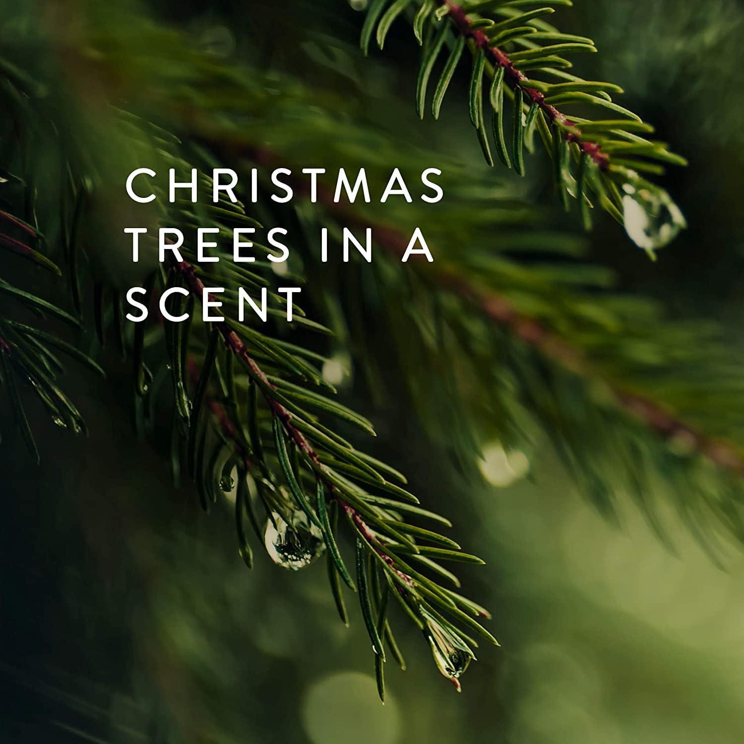 imageThymes Heritage Pine Needle Candle  Scented Candle  Luxury Home Fragrance  Home Decor ampamp Bathroom Accessories  Frasier Fir Pine Scent  115 Oz  Frasier Fir