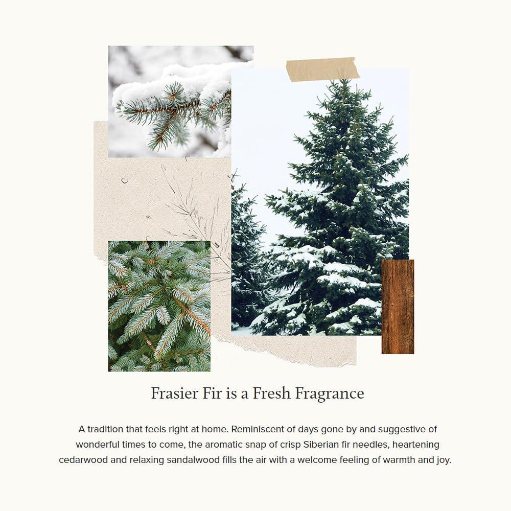imageThymes Heritage Pine Needle Candle  Scented Candle  Luxury Home Fragrance  Home Decor ampamp Bathroom Accessories  Frasier Fir Pine Scent  115 Oz  Frasier Fir
