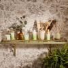 imageThymes Aromatic Jar Candle  Goldleaf Scented Candle for a Floral Home Fragrance  Matte White Candles 75 ozEucalyptus