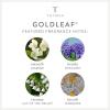 imageThymes Aromatic Jar Candle  Goldleaf Scented Candle for a Floral Home Fragrance  Matte White Candles 75 ozGoldleaf