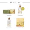 imageThymes Aromatic Jar Candle  Goldleaf Scented Candle for a Floral Home Fragrance  Matte White Candles 75 ozOlive Leaf