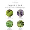 imageThymes Aromatic Jar Candle  Goldleaf Scented Candle for a Floral Home Fragrance  Matte White Candles 75 ozOlive Leaf