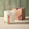 imageThymes Aromatic Jar Candle  Goldleaf Scented Candle for a Floral Home Fragrance  Matte White Candles 75 ozSienna Sage