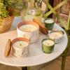 imageThymes Citronella Grove  Outdoor Citronella Candles for Patio with Scent Notes of Olive Leaf ampamp Lemongrass  Backyard Essentials  Decorative Citronella Candles Outdoor Decor Medium 10 oz10 oz