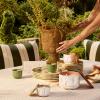 imageThymes Citronella Grove  Outdoor Citronella Candles for Patio with Scent Notes of Olive Leaf ampamp Lemongrass  Backyard Essentials  Decorative Citronella Candles Outdoor Decor Medium 10 oz10 oz
