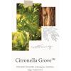 imageThymes Citronella Grove  Outdoor Citronella Candles for Patio with Scent Notes of Olive Leaf ampamp Lemongrass  Backyard Essentials  Decorative Citronella Candles Outdoor Decor Medium 10 oz10 oz