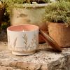 imageThymes Citronella Grove  Outdoor Citronella Candles for Patio with Scent Notes of Olive Leaf ampamp Lemongrass  Backyard Essentials  Decorative Citronella Candles Outdoor Decor Medium 10 oz10 oz