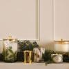 imageThymes Frasier Fir Candle  Gilded Collection  Frosted Wood Grain Design with Gold Lid ampamp Base  Pine Scented Candles for Women ampamp Men  Luxury Home Fragrance  Elegant Christmas Decor Large 135 ozFrasier Fir