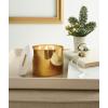 imageThymes Frasier Fir Gilded Gold 3Wick Candle  Scented Candle with a Crisp JustCut Forest Fragrance  Luxury Home Fragrance  Elegant Holiday Candle  Gold Jar Candle 17 oz