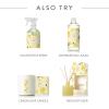 imageThymes Hand Wash  Moisturizing Hand Soap Dispenser with Pump  Skin Care  Hydrating Liquid Soap Scented with Notes of Dewy Leaves Lily of the Valley Lemon Verbena ampamp Bergamot Lemon Leaf 9 fl ozLemon Leaf