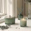 imageThymes Highland Frost Large 3 Wick Candle  Scented Candles with Crisp Notes of Sage Eucalyptus ampamp Cypress Needles  Luxury Home Fragrance Gifts for Women ampamp Men  SageGreen 18 oz