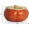 imageThymes Pumpkin Laurel Statement Large Candle  Fall Scented Candle with Notes of Nutmeg Cinnamon Clove Pumpkin and Orange Peel  Luxury Home Fragrance  Burnt Orange PumpkinShaped 15 oz