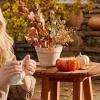 imageThymes Pumpkin Laurel Statement Large Candle  Fall Scented Candle with Notes of Nutmeg Cinnamon Clove Pumpkin and Orange Peel  Luxury Home Fragrance  Burnt Orange PumpkinShaped 15 oz