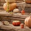 imageThymes Pumpkin Laurel Statement Large Candle  Fall Scented Candle with Notes of Nutmeg Cinnamon Clove Pumpkin and Orange Peel  Luxury Home Fragrance  Burnt Orange PumpkinShaped 15 oz