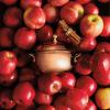 imageThymes Simmered Cider Copper Candle  Warm ampamp Spicy Apple Scented Candles for Home  Notes of Apple Clove and Cardamom  Luxury Gifts for Women ampamp Men  Fall Decor Copper Cup 10 oz18 oz