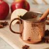 imageThymes Simmered Cider Copper Candle  Warm ampamp Spicy Apple Scented Candles for Home  Notes of Apple Clove and Cardamom  Luxury Gifts for Women ampamp Men  Fall Decor Copper Cup 10 oz10 oz