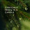 imageThymes Tree Candle  5 Oz  Frasier Fir