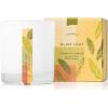 imageThymes Aromatic Jar Candle  Goldleaf Scented Candle for a Floral Home Fragrance  Matte White Candles 75 ozOlive Leaf