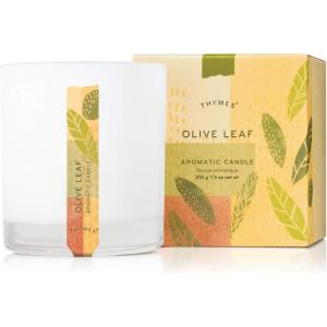 imageThymes Aromatic Jar Candle  Eucalyptus Scented Candle for a Fresh Home Fragrance  Luxury Aromatherapy Candle  Single Wick Glass Candle  Matte White Candles 75 ozOlive Leaf