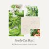 imageThymes Cyprus Sea Salt Countertop Spray 165 fl ozFreshCut Basil