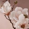 imageThymes Cyprus Sea Salt Countertop Spray 165 fl ozMagnolia Willow