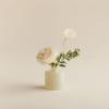 imageThymes Petite Reed Diffuser  Magnolia Willow  40 Fl OzGoldleaf