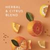 imageThymes Pura Diffuser Refills  Bundle of 2 Pura Refills  for Use in Scent Diffusers for Home  Home Fragrance Products  Scented with Blood Orange Peach ampamp Fig Riviera Fig Pack of 2Mandarin Coriander