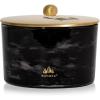 imageThymes Large 3 Wick Candle  Holiday Candles for Home Decor  Luxury Home Fragrance Gifts for Women ampamp Men  Notes of Fresh Evergreen Smoky Wood ampamp Amber Noir Woods 18 oz
