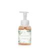 imageThymes Foaming Hand Wash with Aloe ampamp Glycerin  Foaming Hand Soap with Pump  Kitchen or Bathroom Decor  Fall Soap with Notes of FreshlyPressed Apples Clove ampamp Cardamom Simmered Cider 103 fl ozHighland Frost