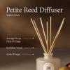 image:imageThymes Petite Oil Reed Diffuser Set  Includes Reeds Fragrance Oil amp Glass Bottle  Luxury Scent Diffusers for Home Decor Soft Ceremony 4 fl ozAmber Hour