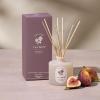 image:imageThymes Petite Oil Reed Diffuser Set  Includes Reeds Fragrance Oil amp Glass Bottle  Luxury Scent Diffusers for Home Decor Soft Ceremony 4 fl ozDay Rise