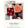 image:imageThymes Scented Candles for Home Decor  Luxury Home Fragrance Gifts for Women amp Men  Day Rise 2 Wick Medium Candle 13 ozDay Rise