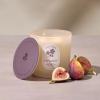 image:imageThymes Scented Candles for Home Decor  Luxury Home Fragrance Gifts for Women amp Men  Day Rise 2 Wick Medium Candle 13 ozDay Rise